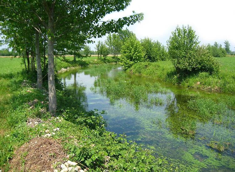 Parco del Tormo: &laquo;Ora meno burocrazia&raquo;