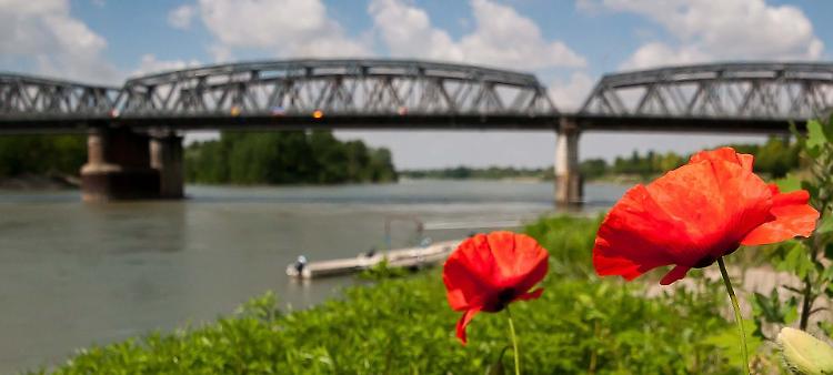 Acque monitorate: &laquo;Inquinanti nei limiti&raquo;