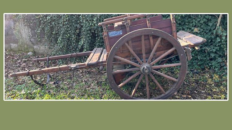 Rubato il carretto dei doni: l'appello