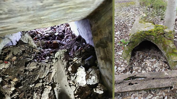 Un rifugio antiaereo sotto gli ex Stalloni