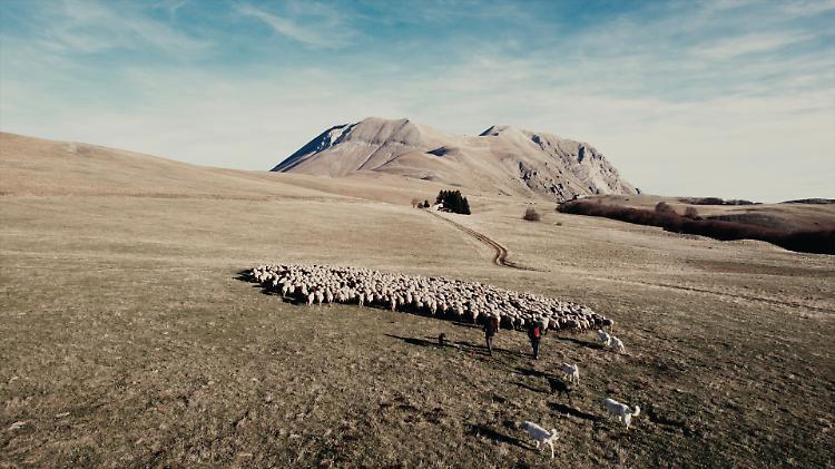 Proiezione del film documentario "Green Citizen" 
