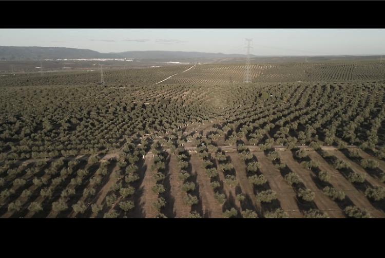 Proiezione del film documentario "Renovables Forzosas" 