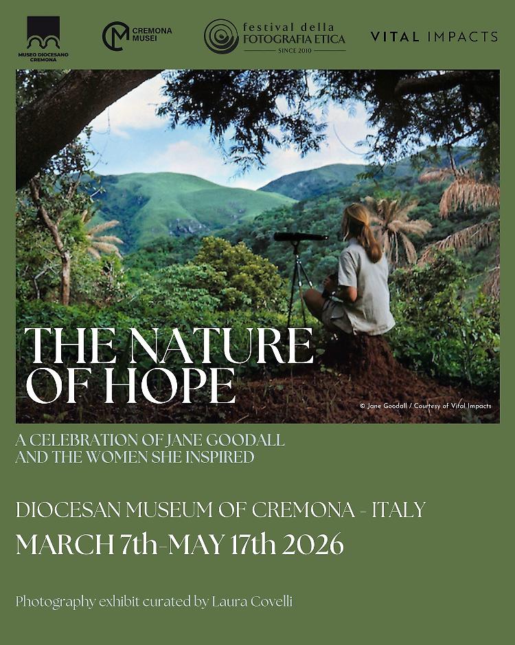 The Nature of Hope - Un tributo a Jane Goodall e alle donne che ha ispirato