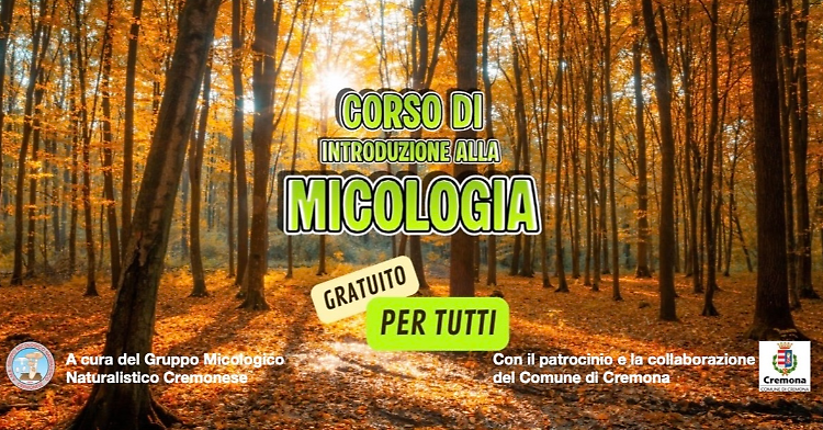 Corso base di introduzione alla micologia