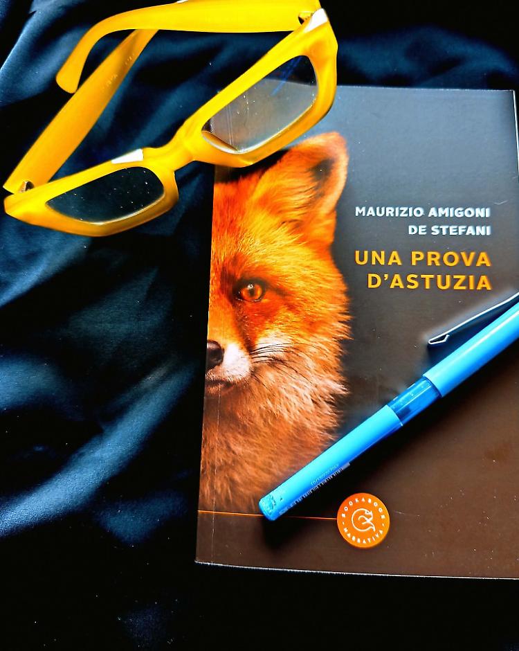 Presentazione del libro "Una prova d'astuzia"