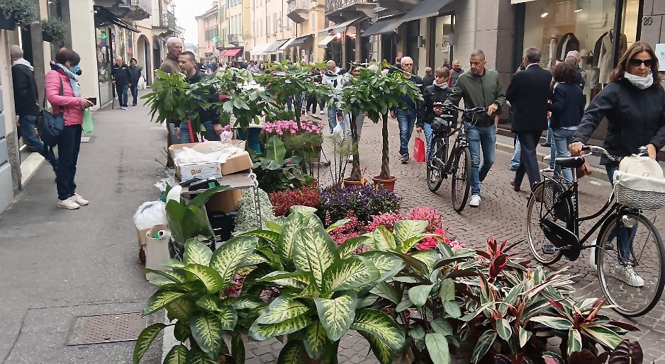 L’autunno più bello incanta i cremaschi