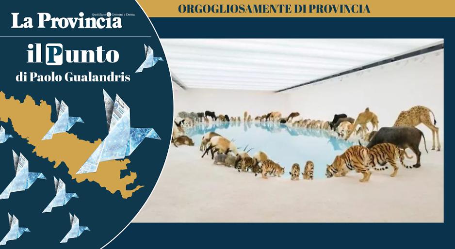 Il Kalahari siamo noi, solo insieme si sopravvive