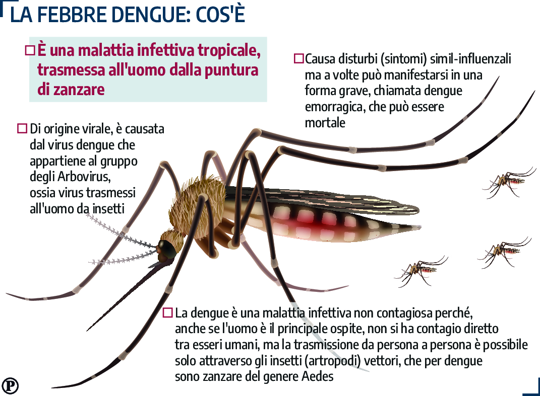 dengue